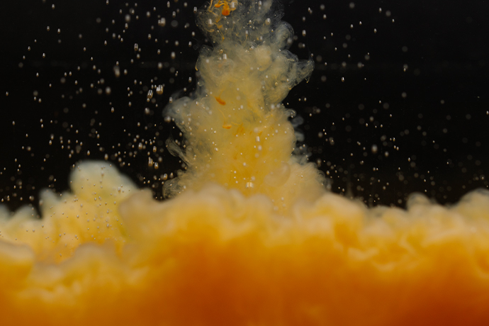 PURE NATURALS EXTRAKT